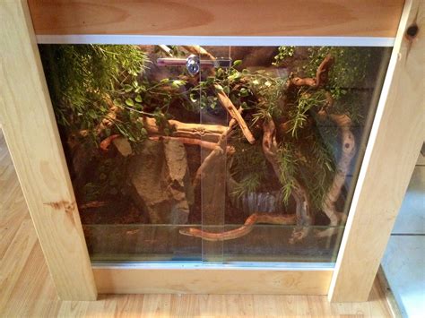 It is a good start enclosure while waiting for your corn snake to grow. Mon vivarium pour serpent des blés. My vivarium for my ...