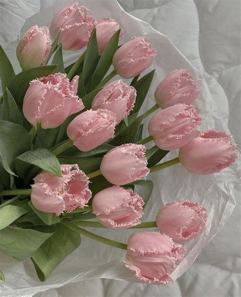 A Bouquet Of Pink Tulips With Green Leaves On A White Sheeted Surface