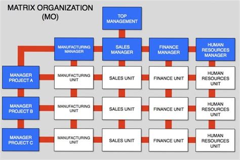 matrix organization structure in 2021 organizational chart org chart porn sex picture