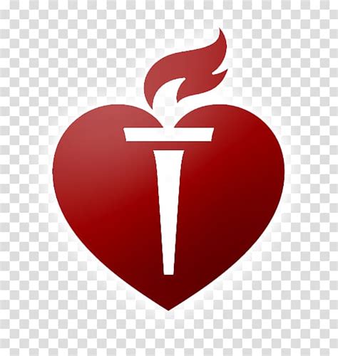 American Heart Association Cpr Class Cardiovascular Disease Health