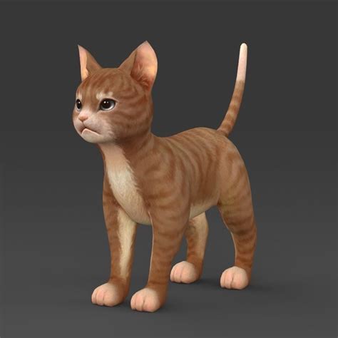 Kitten 3d Model