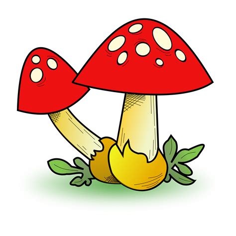 Картинки грибов для детей распечатать цветные для вырезания