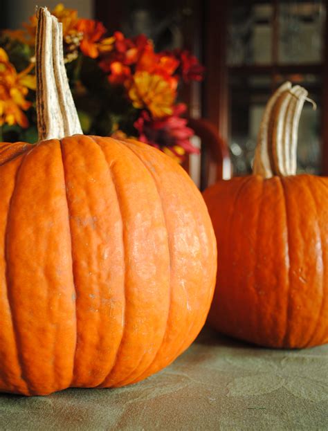 You'll know it's done when the skin is tender when pierced with a fork. What the Heck is a Sugar Pumpkin? - Confessions of a ...