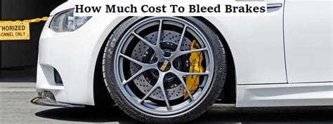 How Much Does It Cost To Bleed Brakes A New Way Forward Automotive