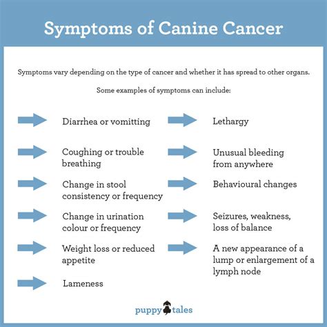 Canine Cancer Information For Dog Owners Puppy Tales
