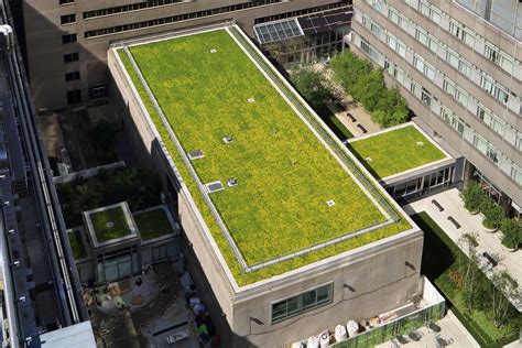 Green Roof Nyc Green Roof Requirements Hlzae