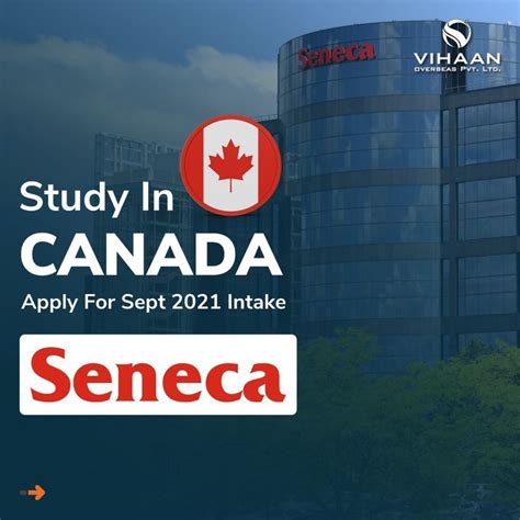 Study In Canada September Intake 2021 Study Study Program Study