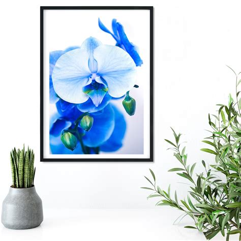 Blue Flower Macro Photography Print Fine Art Print Of Blue Orchid