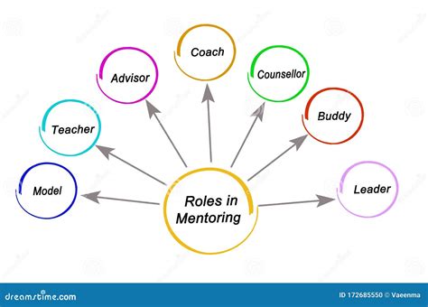 Seven Roles In Mentoring Stock Illustration Illustration Of Advisor