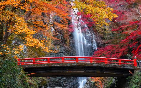 Bridge Autumn Wallpapers Wallpaper Cave