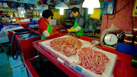 Jagalchi Fish Market In Busan Expedia