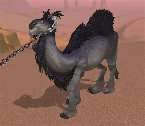 Right away, a new character can find a small village when you're finished with your starting zone, the world suddenly gets a lot bigger. Captured Wild Camel - NPC - World of Warcraft