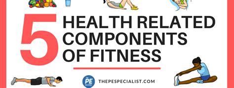The 5 Components Of Health Related Fitness Explained