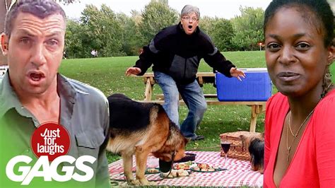 Best Of Pranks At The Park Simply Amazing Stuff