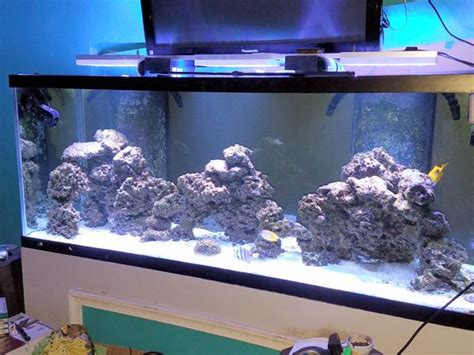 210 Gal Saltwater Aquarium Setup For Sale In Hampton Va Offerup