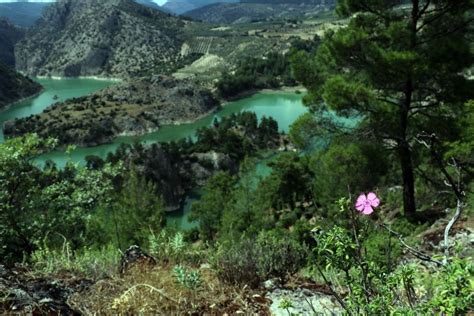 Çimbeton hisseleri 18 aralık 1997 tarihinden bu yana i̇mkb'de işlem görmektedir. Ege'de üç ilin sınırındaki kanyon ziyaretçilerini büyülüyor