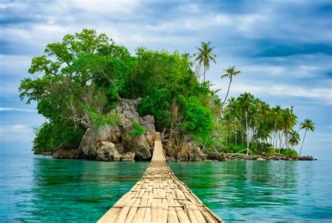 We did not find results for: Bộ Sưu Tập Hình Ảnh Thiên Nhiên Đẹp Nhất Trên Thế Giới ...