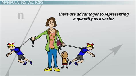 What Is a Vector? - Definition & Types - Video & Lesson ...
