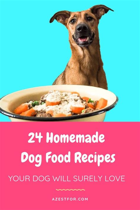 So recently, i conducted this form what would prevent you from making a fresh meal for your dog at home when the results from the poll came. Interested in making your own homemade dog food that is ...