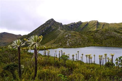 Top 10 Off The Beaten Track Destinations In Colombia Natural Park