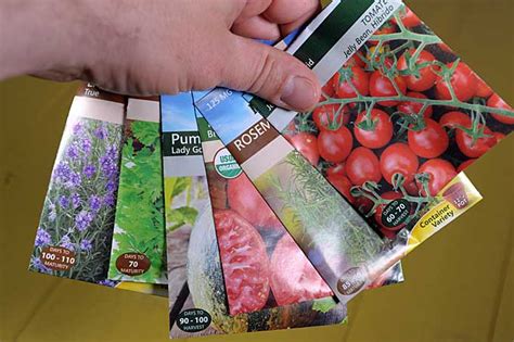 Vegetable Seeds Vegetable Seed Packets Lot Of 100 Yard Garden