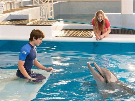 Dolphin Tale 2 Reviews Screen
