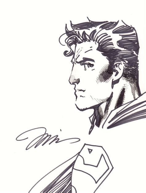 Superman Side Bust Drawing Signed By Jim Lee