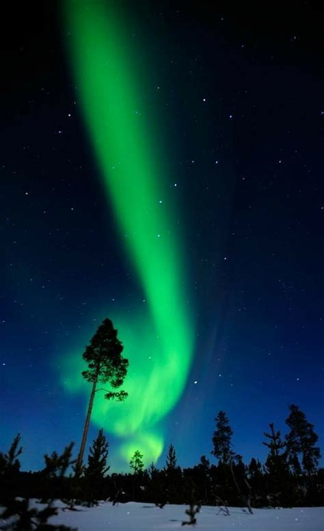 Pin By Rodica Enescu On Aurora Boreal Aurora Boreal Northern Lights