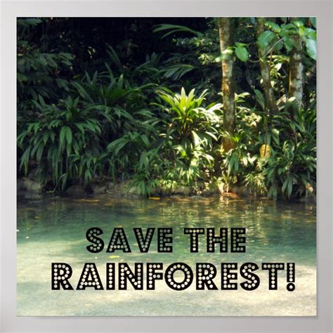 Save The Rainforest Poster Uk
