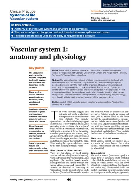 Vascular System 1 Anatomy And Physiology Pdf Artery Aorta