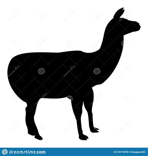 Silhouette Alpaca Llama Lama Guanaco Black Color Vector Illustration