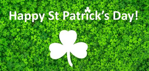 Patrick used it to illustrate the trinity. Why Do We Celebrate Saint Patrick's Day? -- Vispronet
