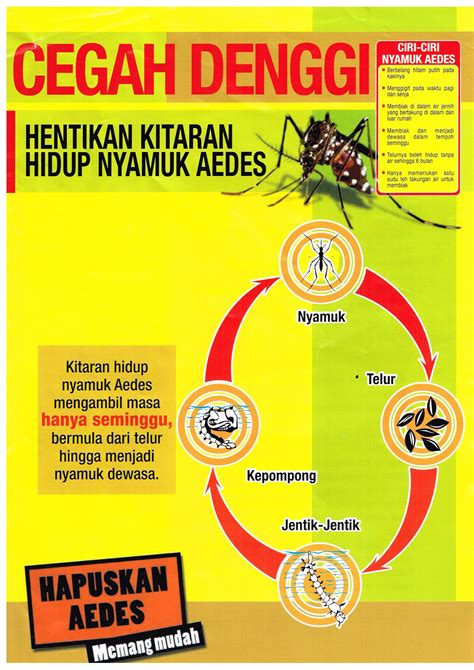 Contoh Poster Nyamuk Aedes At My