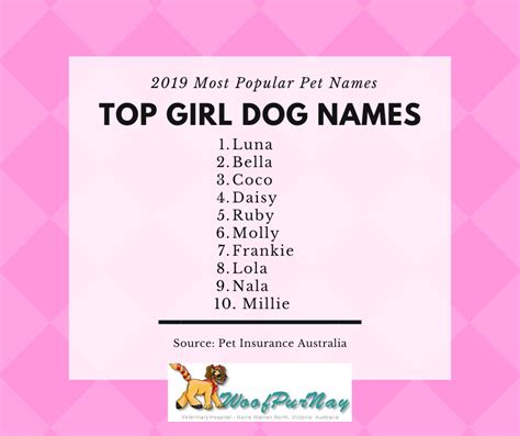 Pet Names Anna Blog