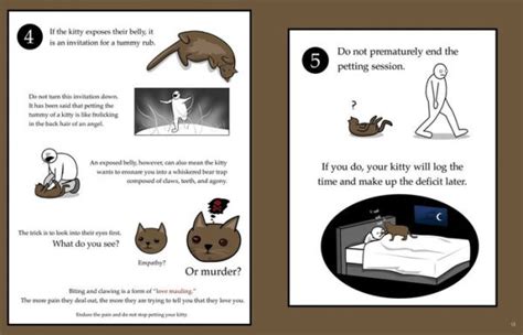 How To Tell If Your Cat Is Plotting To Kill You By The Oatmeal Matthew