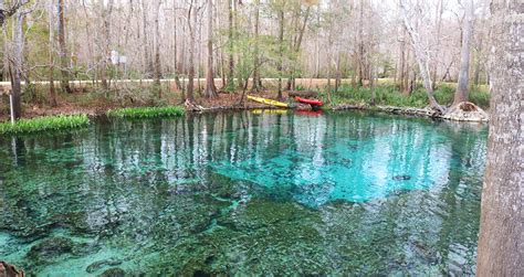 Maybe you would like to learn more about one of these? Splash Into the Springs Near Gainesville, FL - Events in ...