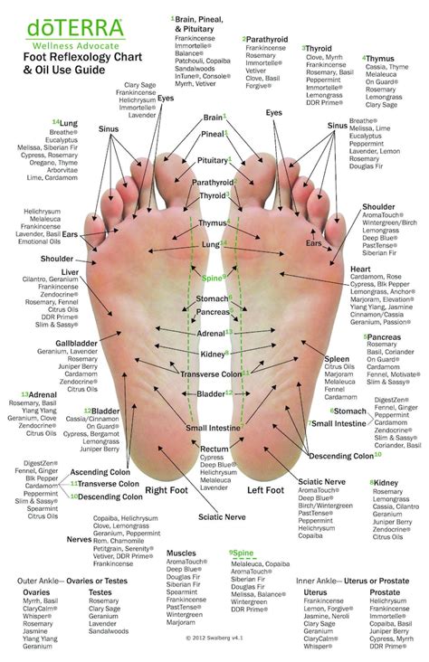 10 Pack Mini Essential Oil Reflexology Chart And Oil Use Guide Etsy