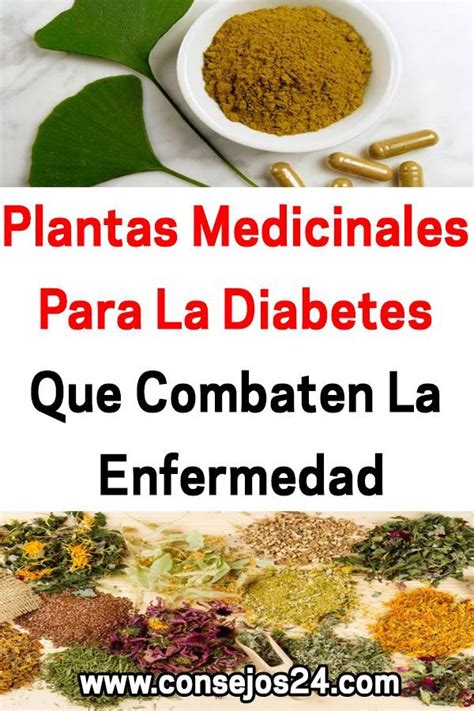 Enregistrerenregistrer plantas para curar la diabetes pour plus tard. Plantas Medicinales Para La Diabetes Que Combaten La Enfermedad #Diabetes #Remedios #Salud ...