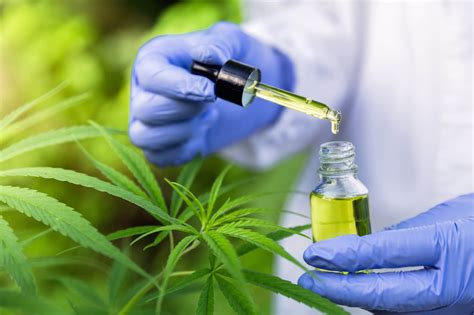 things to know about cbd products 123