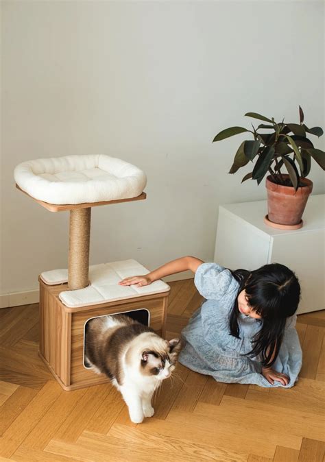 8 Modern Cat Trees That Will Look Fab In Your Home Wooden Cat Tree