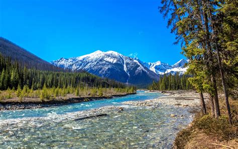 Download Wallpapers Canadian Rockies Vermilion River Mountain River