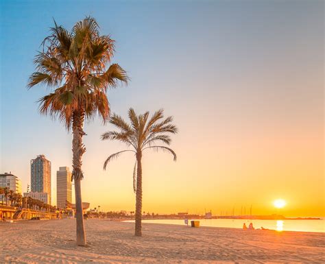 De kustlijn van barcelona wordt verdeeld in 7 stranden, verspreid over 5 kilometer vanaf de oude aan de voet van de 'twin towers' van barcelona ligt het strand van nova icaria; 10 Things You Didn't Know About the Mediterranean | Royal ...