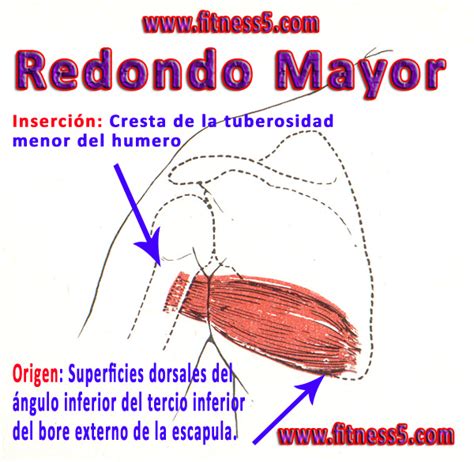 Redondo Mayor