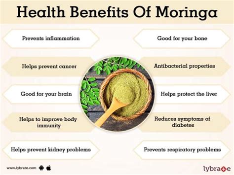 Benefits of Moringa And Its Side Effects | Lybrate gambar png