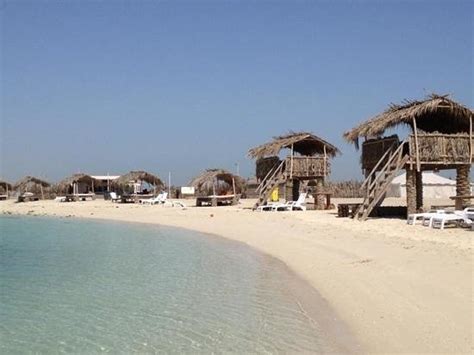 Al Dar Island Picture Of Manama Bahrain Tripadvisor
