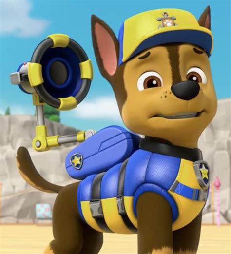 Pin By Sameer Bhatti On Paw Patrol Paw Patrol Party Rubble Paw