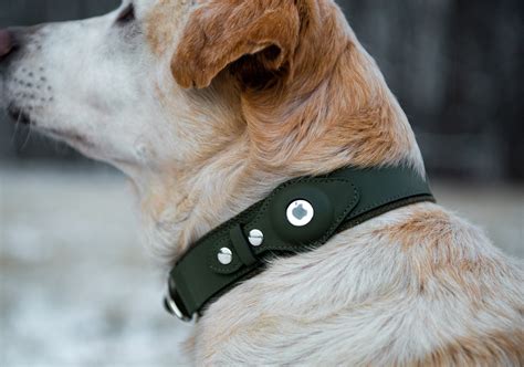 Personalizable Faux Leather Apple Airtag Dog Collar By Nine Etsy