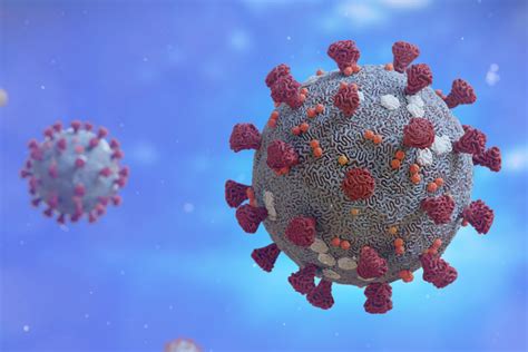This website is a resource to help advance the understanding of the virus, inform the public, and brief policymakers in order to guide a response, improve care, and save lives. Security measures - Corona virus - AquaGenAquaGen