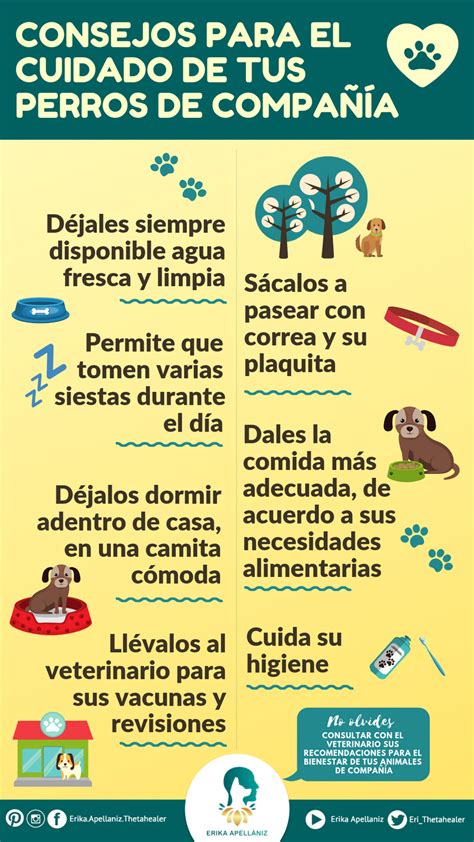 Infografía Consejos Para El Cuidado De Tus Perros Infografía