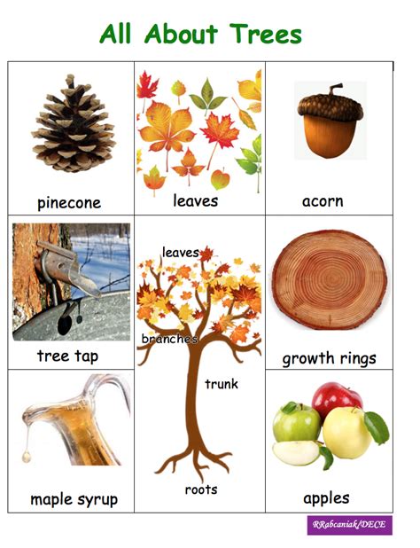 Trees Vocabulary Sheet For Writing Centres Halloween Kindergarten